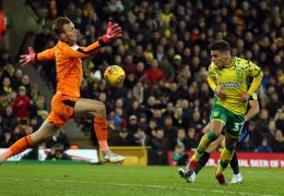 Rotherham United vs Norwich City Betting Tips 16/03/2019