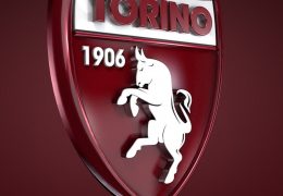 Torino vs Soligorsk Betting Tips 08/08/2019